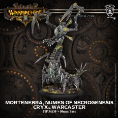 Mortenebra, Numen of the Necrogenesis Warcaster (metal/resin)